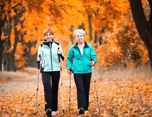 Top 10 Fall Activities for Seniors to Enjoy the Season