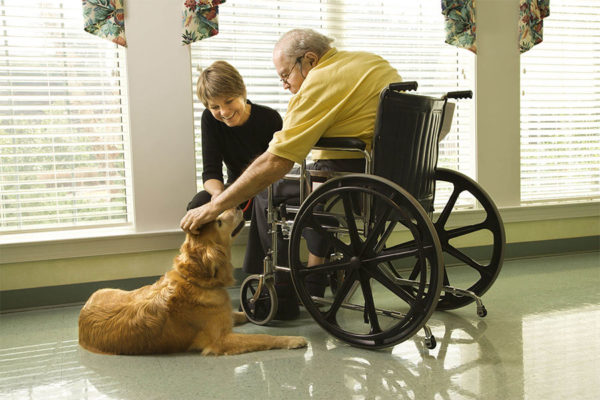 Senior man petting dogs head during pet therapy session.