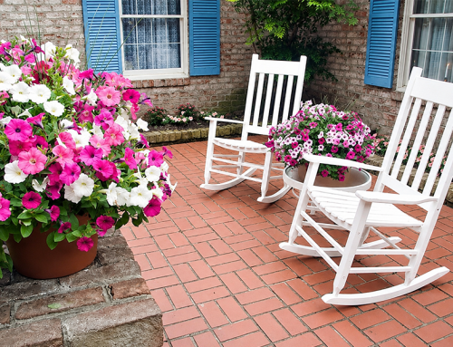 Horticultural Therapy for Dementia: How Gardens Reduce Agitation
