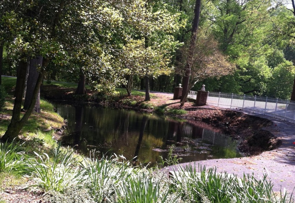 Scenic view of Chesapeake Manor's tranquil pond, a key attraction of this assisted living community in Maryland, reflecting the surrounding nature's beauty.